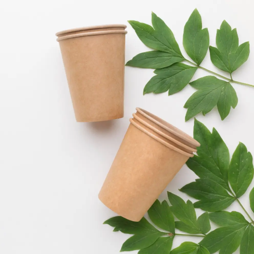 How to Make Paper Cups More Sustainable